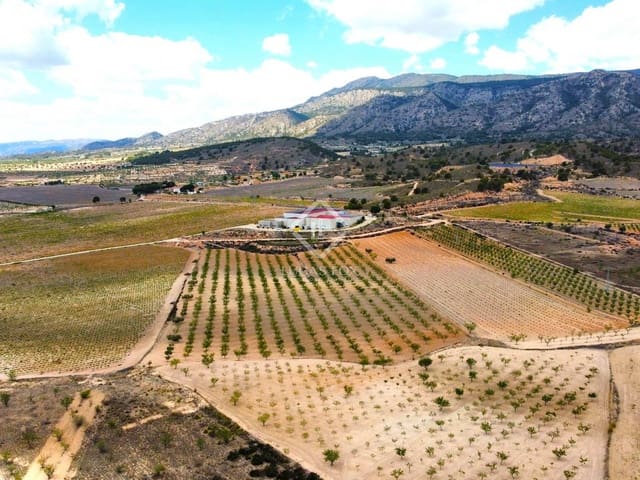 Finca/Hus på landet till salu i La Alberquilla, Jumilla - 6 000 000 € (Ref: 8370437)