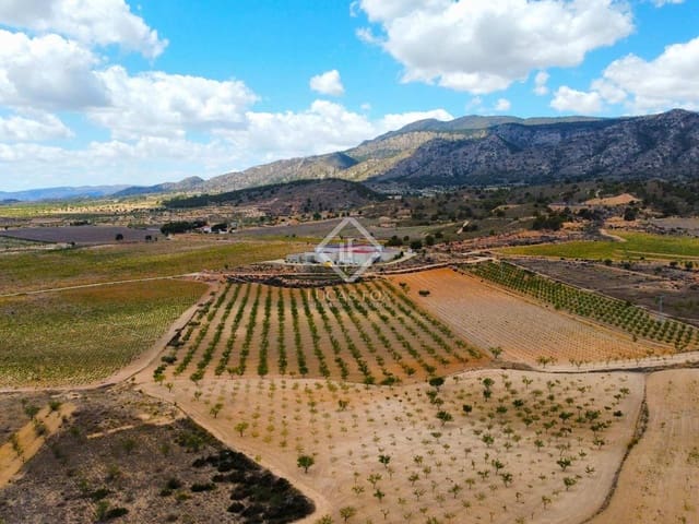Finca/Hus på landet till salu i La Alberquilla, Jumilla - 6 000 000 € (Ref: 8370437)