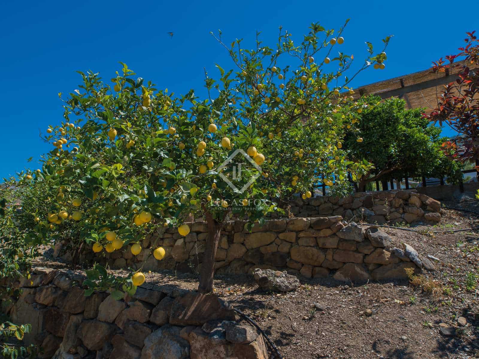 6 slaapkamer Finca/Landhuis te koop in Alcaucin - € 690.000 (Ref: 8371668)