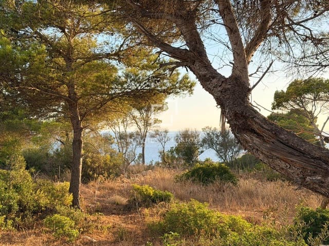Building Plot for sale in El Migjorn Gran / Es Migjorn Gran - € 450,000 (Ref: 8402723)