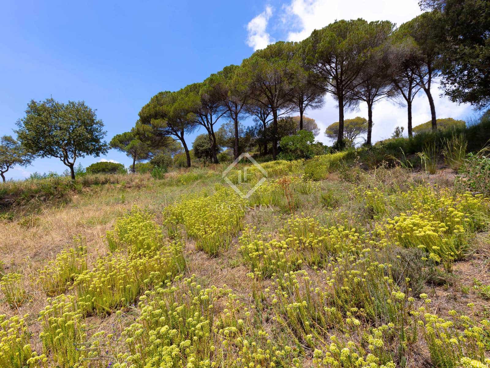 Byggegrund til salg i Vallromanes - € 381.646 (Ref: 8431975)