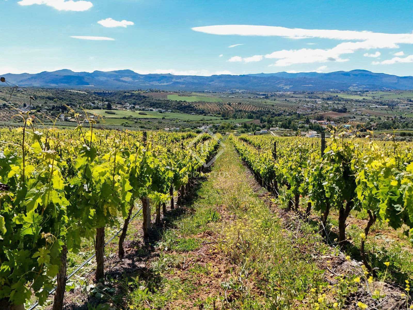 3 soveværelse Finca/Landehus til salg i Ronda - € 1.690.000 (Ref: 8433785)