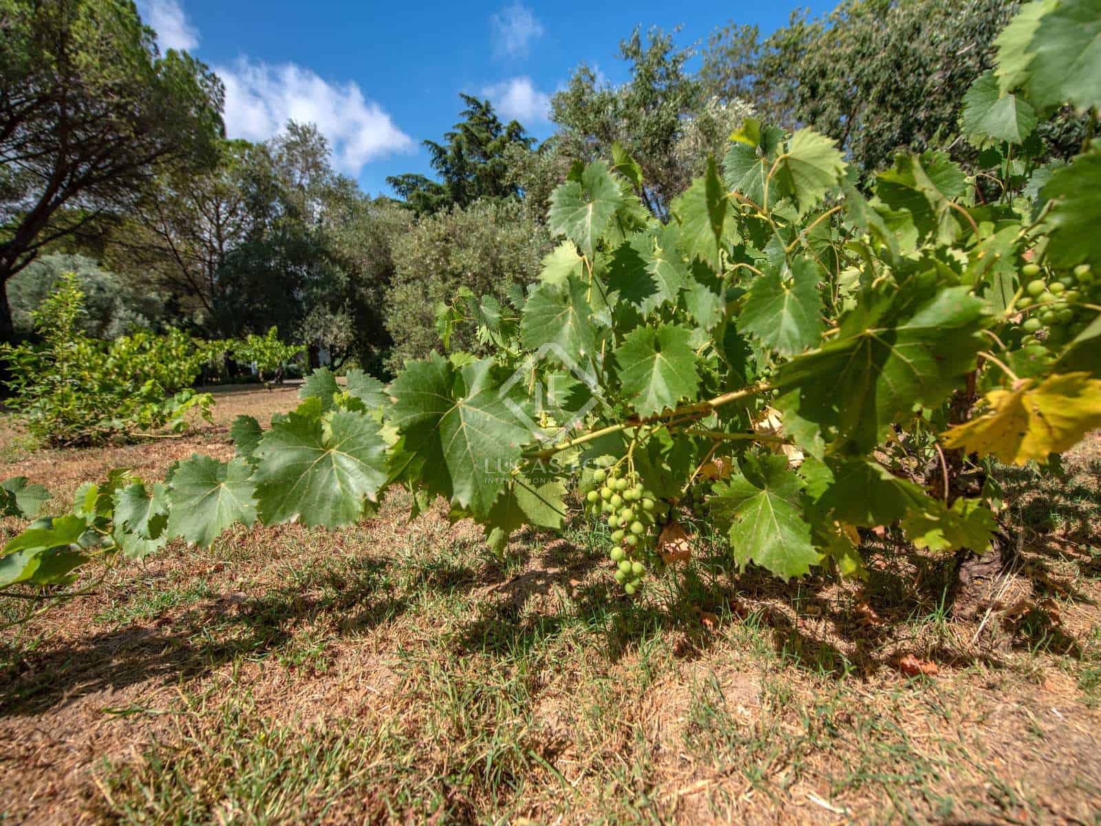 4 bedroom Villa for sale in Santa Cristina d'Aro with pool garage - € 1,000,000 (Ref: 8462285)