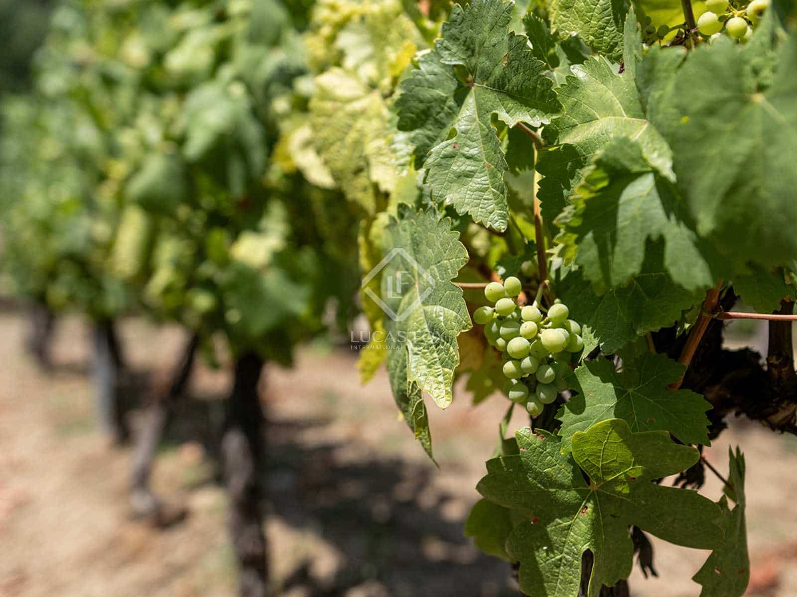 3 soveværelse Finca/Landehus til salg i Beade med garage - € 295.000 (Ref: 8472929)