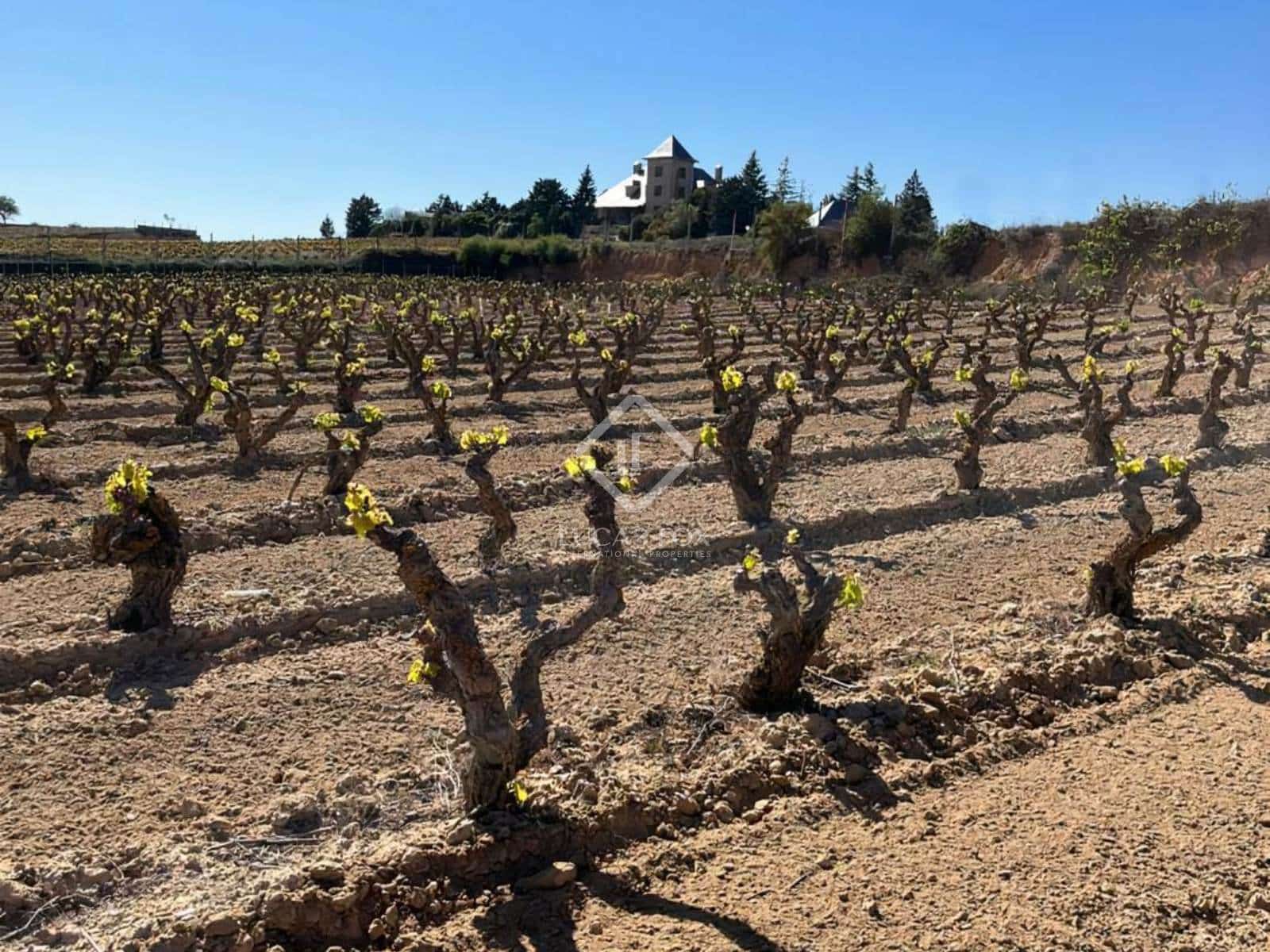 5 soveværelse Finca/Landehus til salg i Labastida - € 3.725.000 (Ref: 8488453)