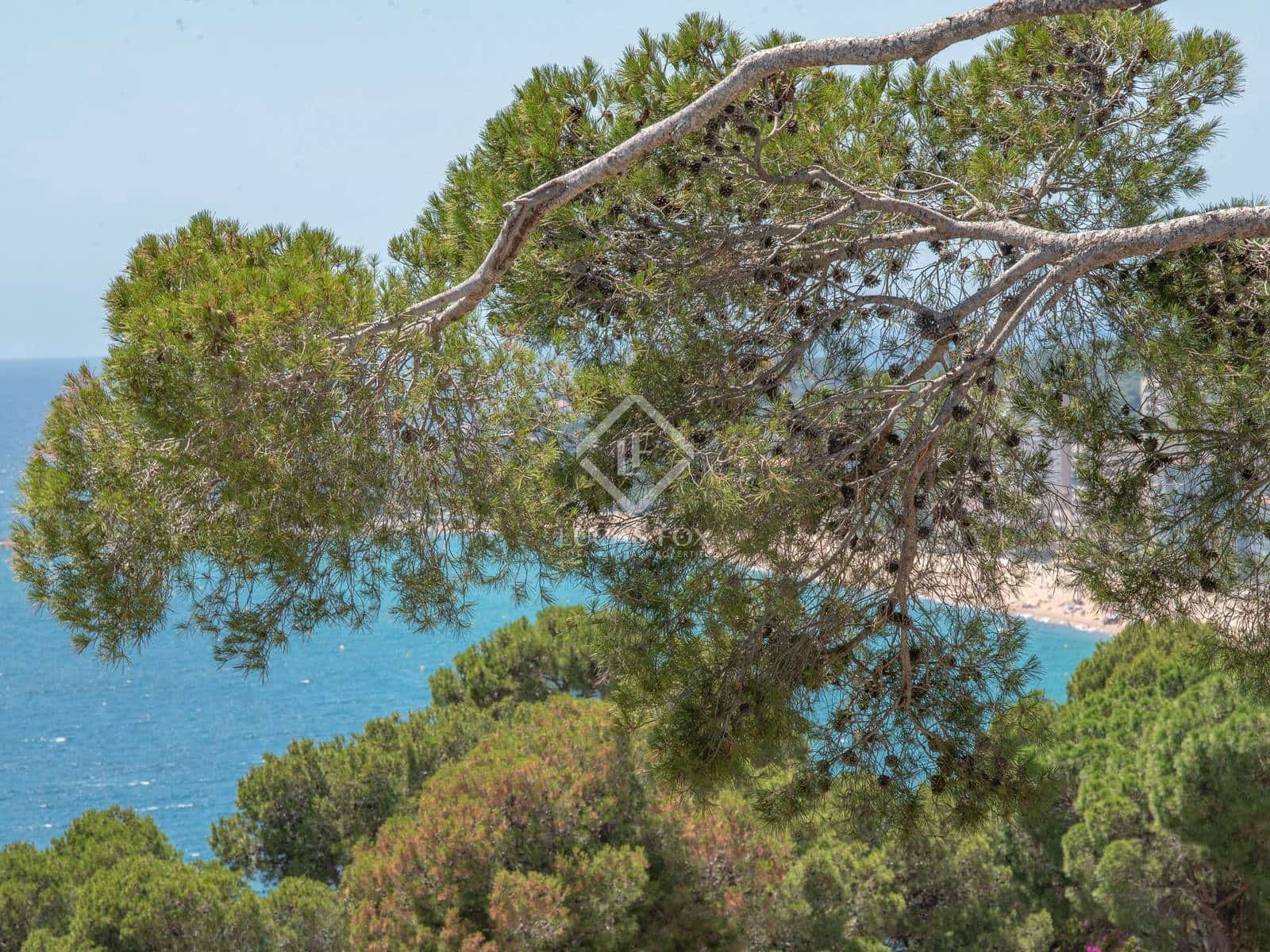 6 chambre Villa/Maison à vendre à Calonge i Sant Antoni avec piscine garage - 3 750 000 € (Ref: 8500626)