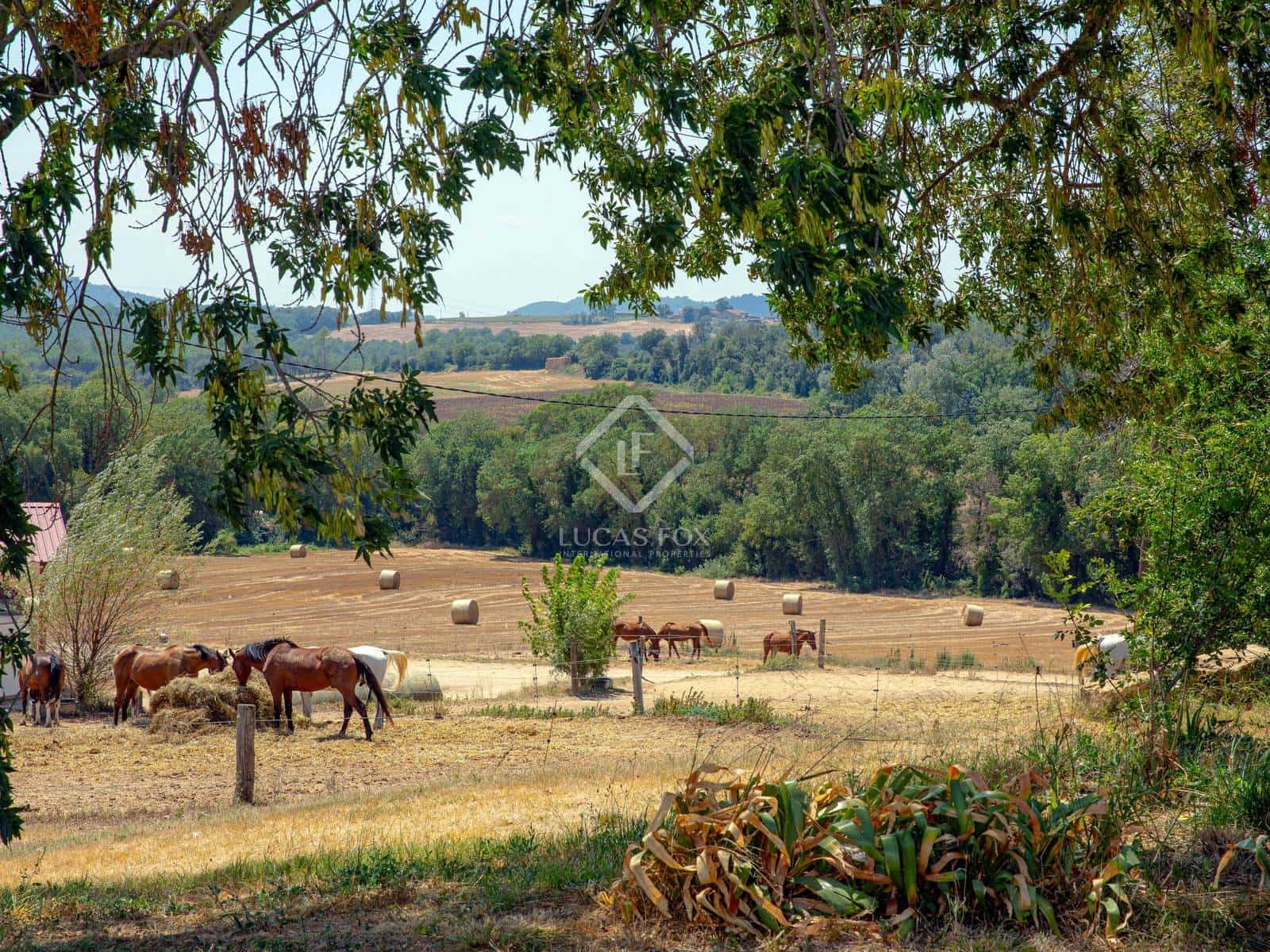 9 soveværelse Finca/Landehus til salg i Vilademuls - € 1.650.000 (Ref: 8578641)