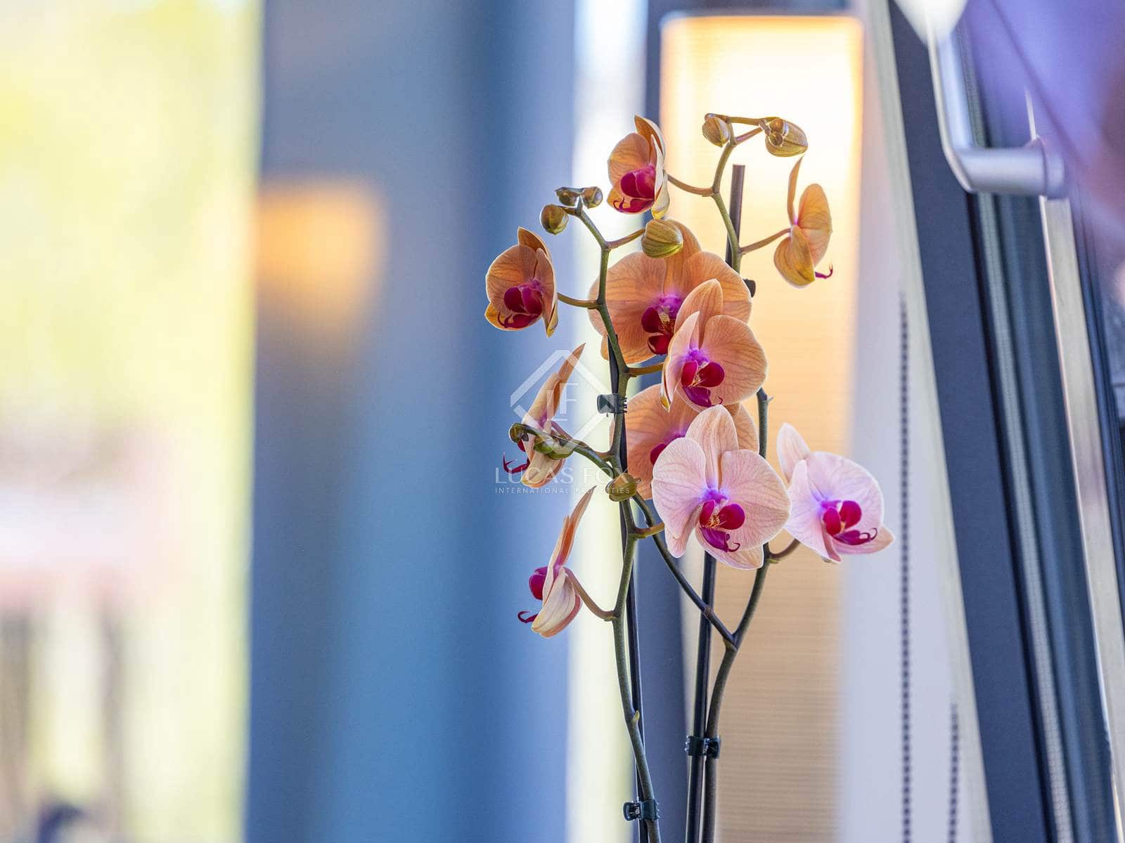 4 bedroom Villa for sale in Javea / Xabia with pool garage - € 1,729,000 (Ref: 8605782)