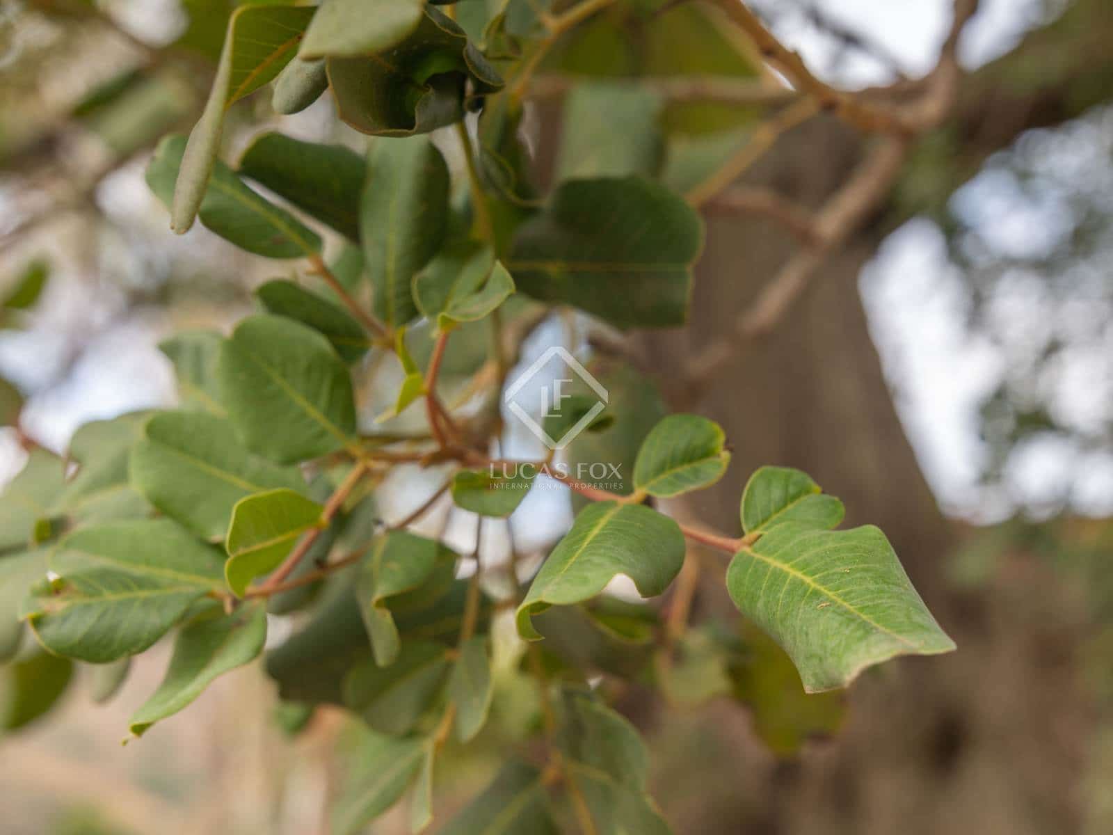 11 soveværelse Finca/Landehus til salg i Malaga by med swimmingpool garage - € 1.250.000 (Ref: 8644477)