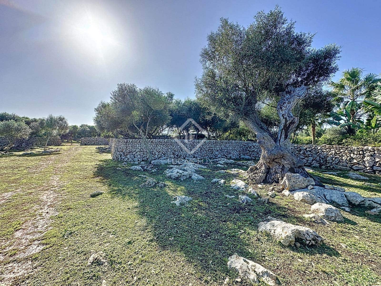 4 soveværelse Finca/Landehus til salg i San Luis / Sant Lluis med swimmingpool garage - € 3.300.000 (Ref: 8646068)