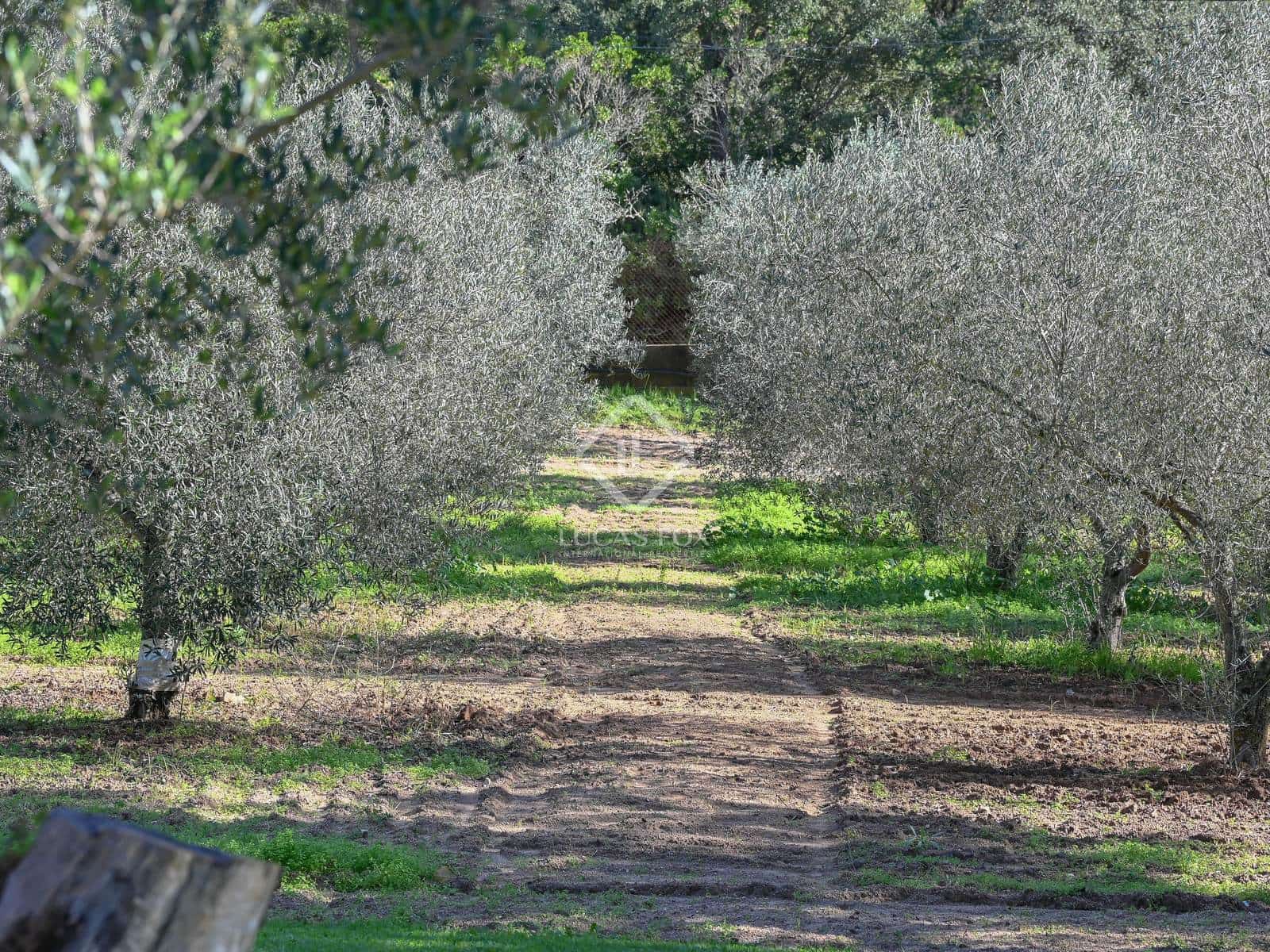 4 soveværelse Finca/Landehus til salg i Calonge i Sant Antoni med swimmingpool garage - € 2.300.000 (Ref: 8651247)