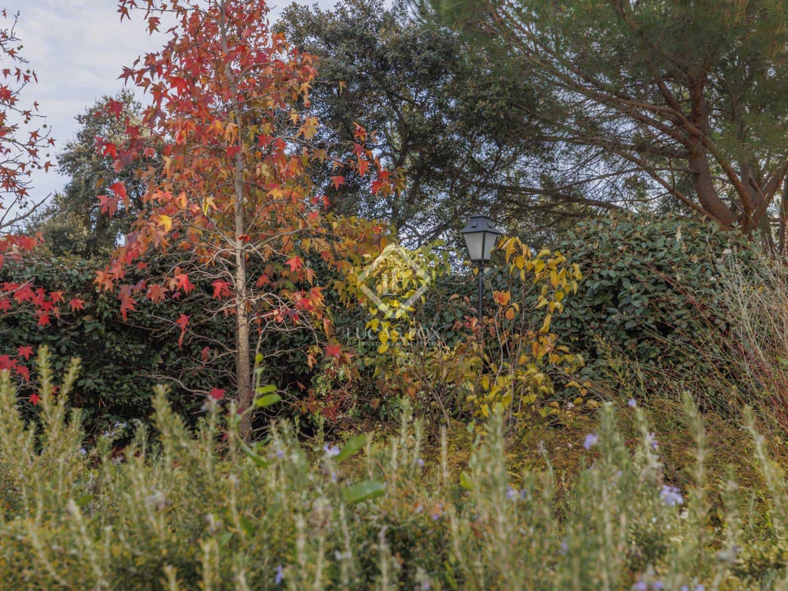 5 soveværelse Villa til salg i Las Rozas de Madrid med swimmingpool garage - € 2.375.000 (Ref: 8664659)