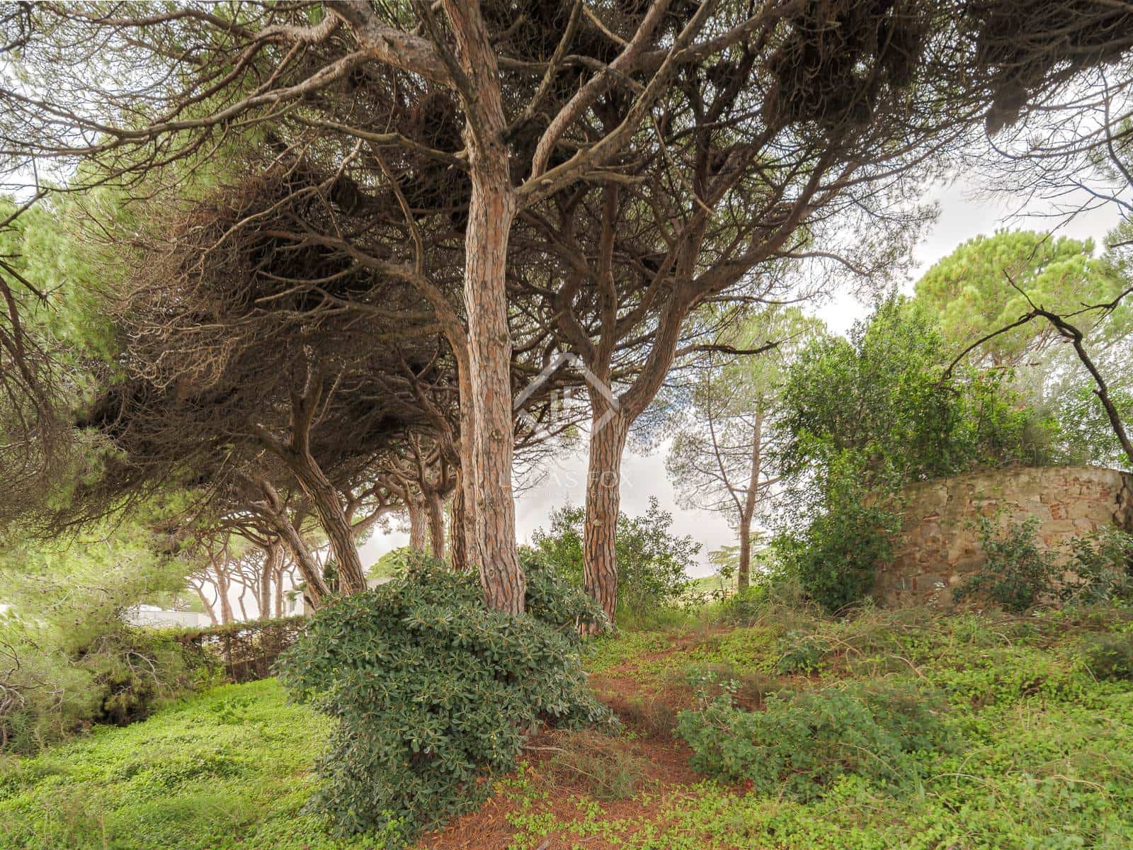 Byggegrund til salg i Arenys de Mar - € 2.000.000 (Ref: 8671349)