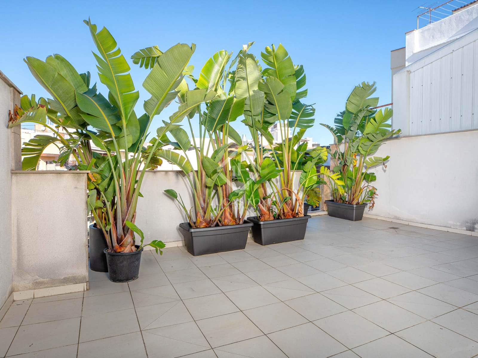 3 soveværelse Lejlighed til salg i Blanes - € 1.290.000 (Ref: 8686524)