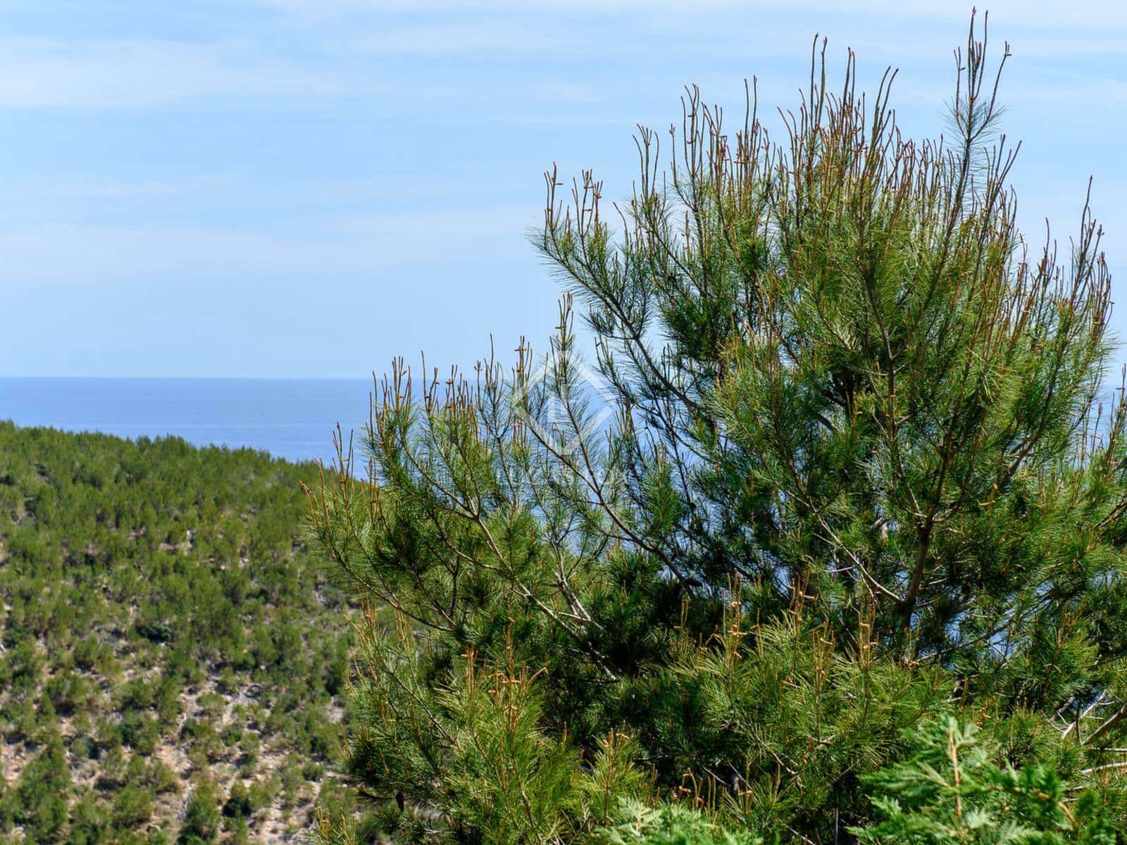 5 chambre Villa/Maison à vendre à Santa Eulalia / Santa Eularia avec piscine - 5 900 000 € (Ref: 8728911)