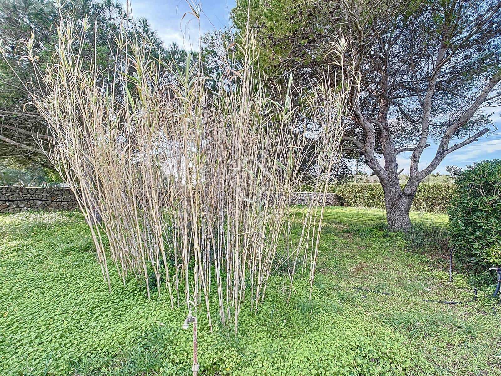 3 soveværelse Finca/Landehus til salg i Ciutadella de Menorca med garage - € 674.000 (Ref: 8788672)