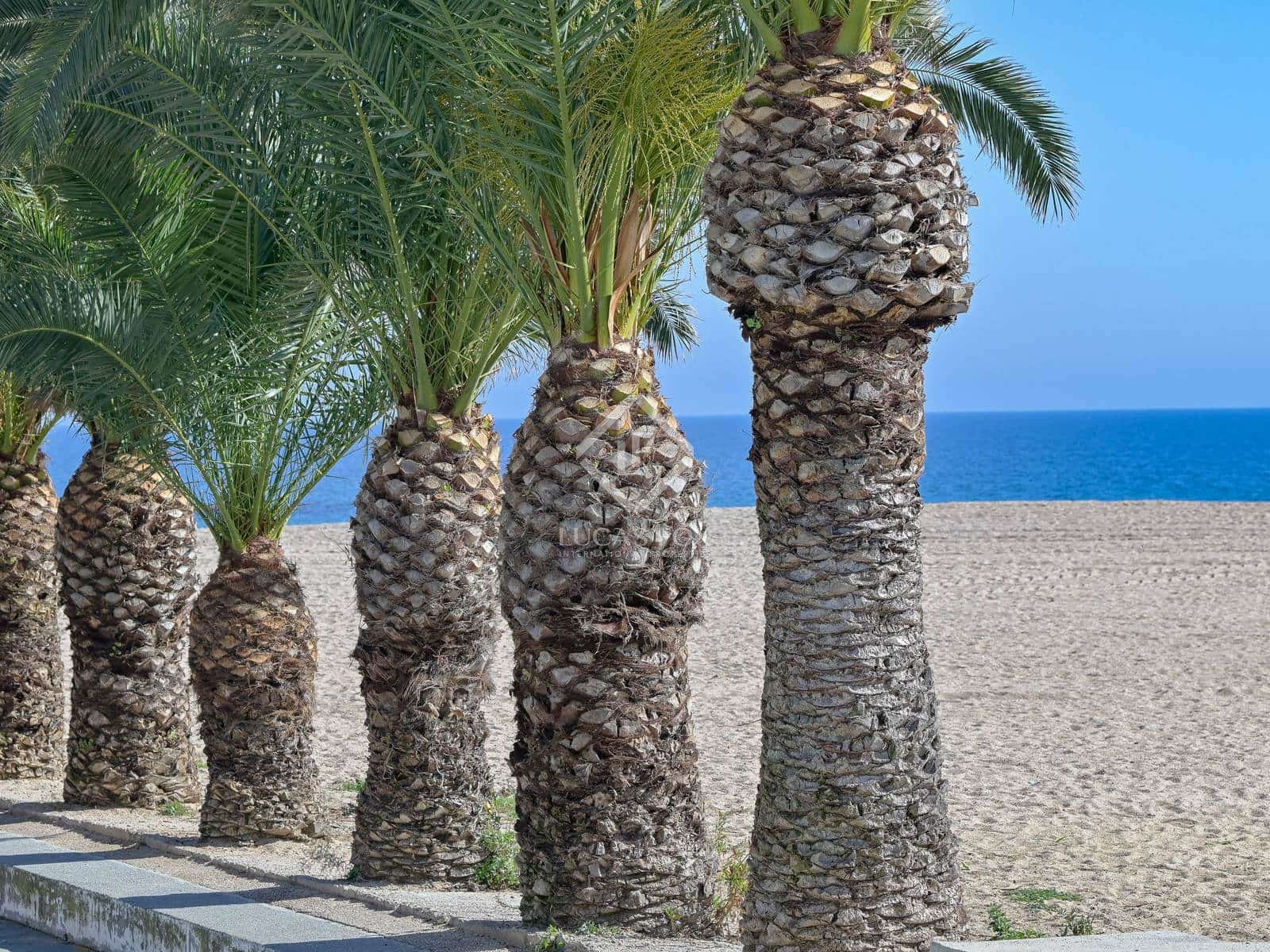 Apartamento de 3 habitaciones en Platja d'Aro en venta con garaje - 390.000 € (Ref: 8829942)