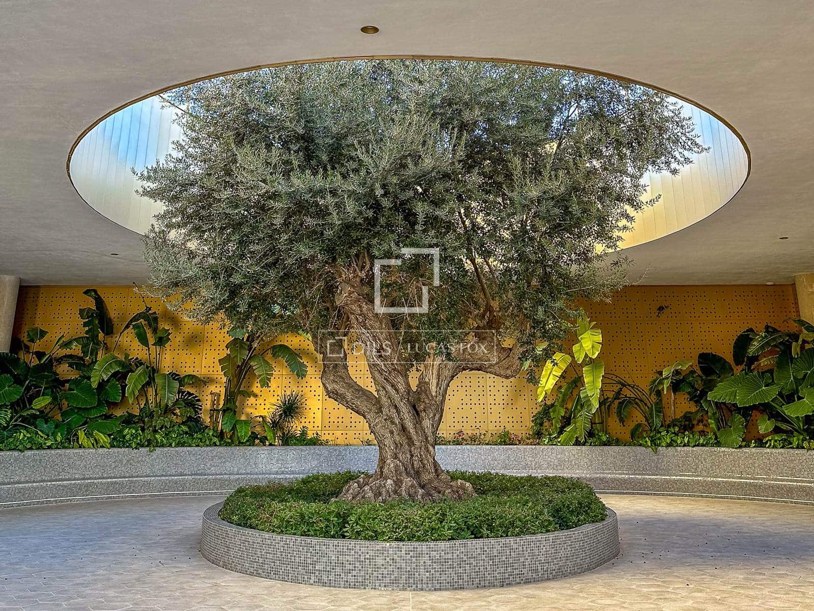 2 bedroom Apartment for sale in Benidorm with pool garage - € 495,000 (Ref: 8830200)