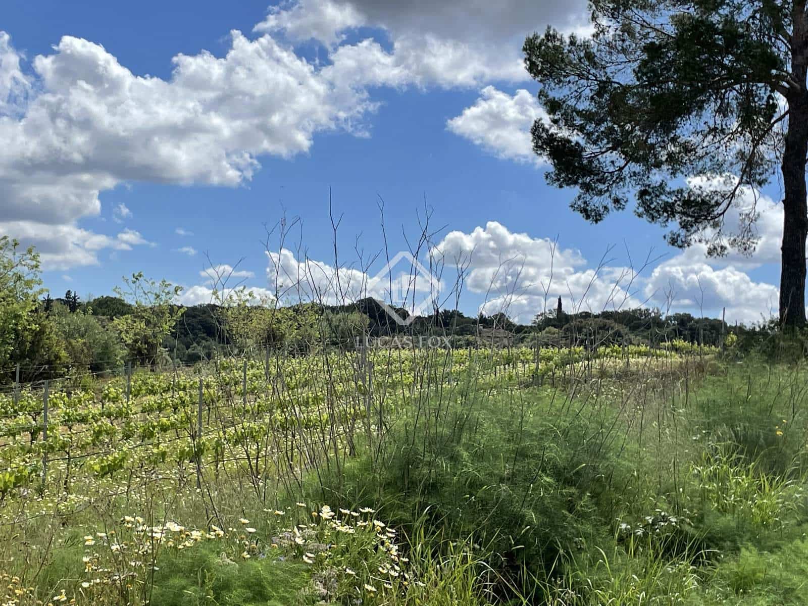 Byggegrund til salg i Costitx - € 610.000 (Ref: 8913526)