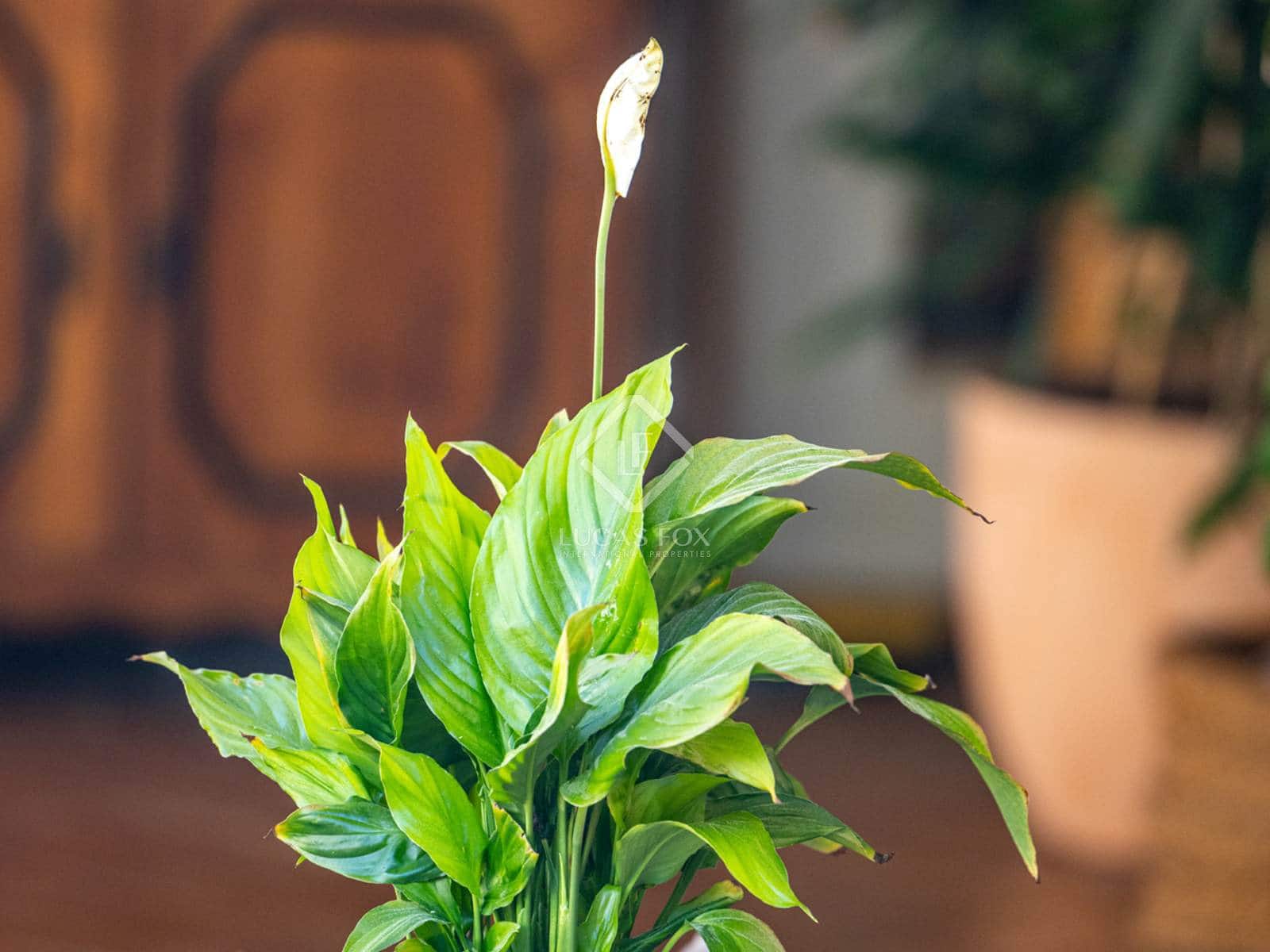 3 bedroom Villa for sale in Javea / Xabia with garage - € 1,790,000 (Ref: 8916856)