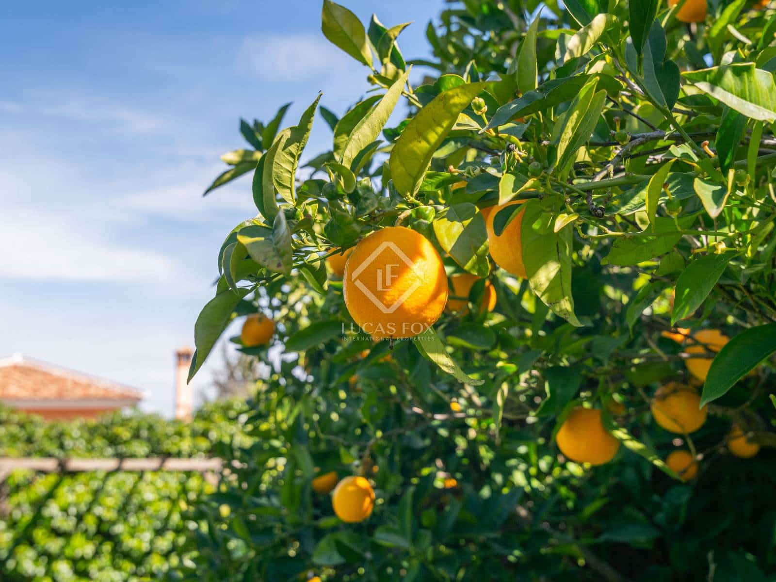 3 soveværelse Villa til salg i Alhaurin de la Torre med swimmingpool garage - € 749.000 (Ref: 8917426)