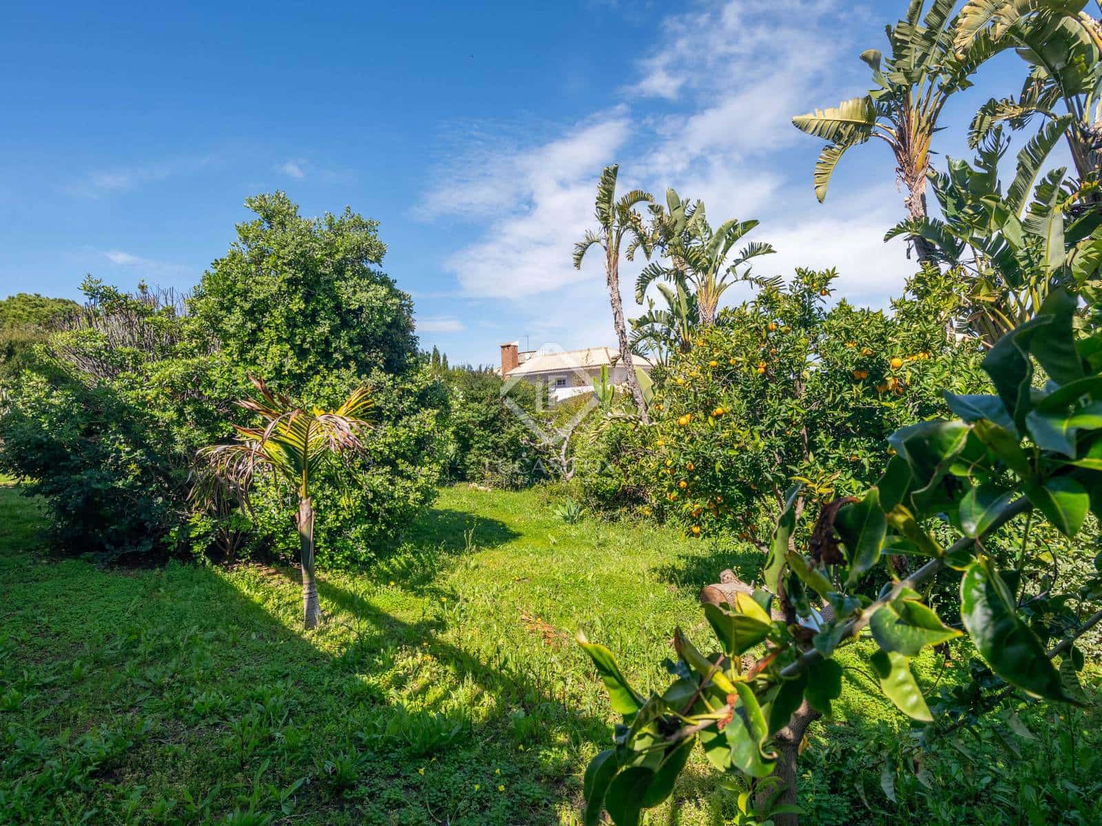 3 soveværelse Villa til salg i Alhaurin de la Torre med swimmingpool garage - € 749.000 (Ref: 8917426)