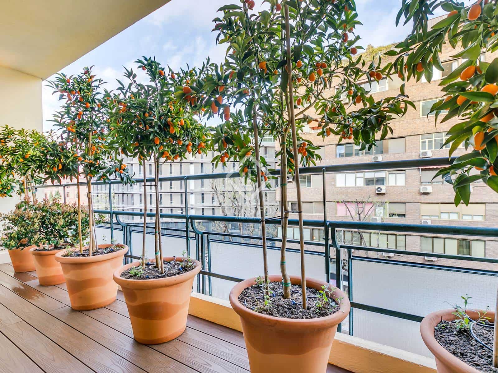 4 soveværelse Lejlighed til salg i Madrid by med garage - € 4.200.000 (Ref: 8922598)