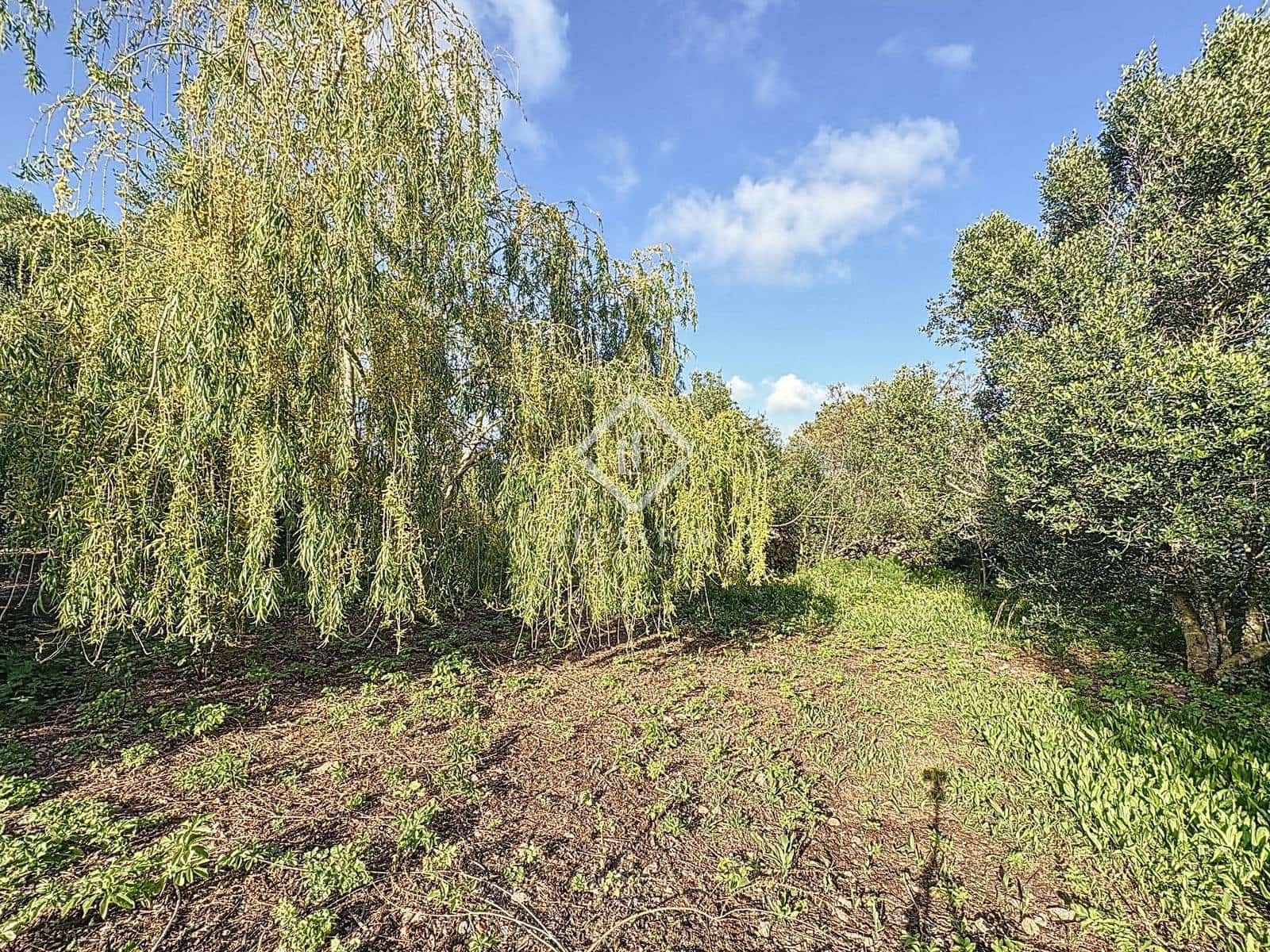 5 soveværelse Finca/Landehus til salg i San Luis / Sant Lluis med garage - € 1.900.000 (Ref: 8925104)