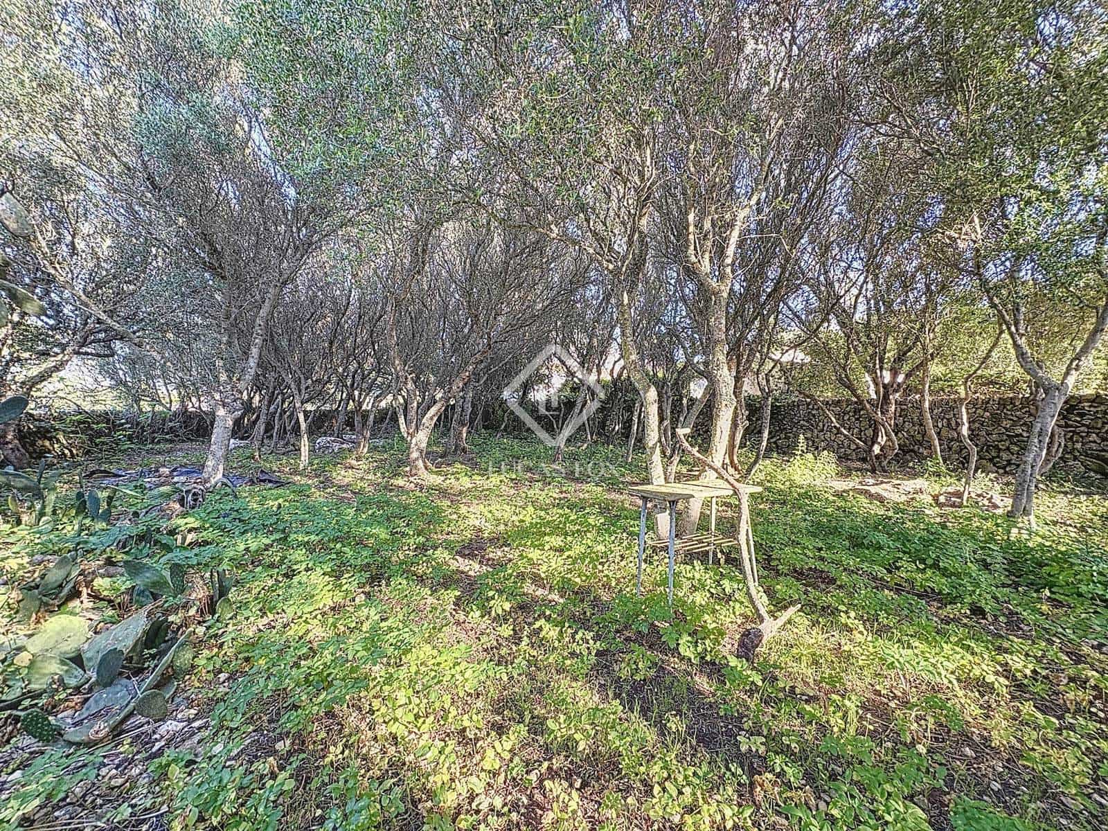 5 soveværelse Finca/Landehus til salg i San Luis / Sant Lluis med garage - € 1.900.000 (Ref: 8925104)