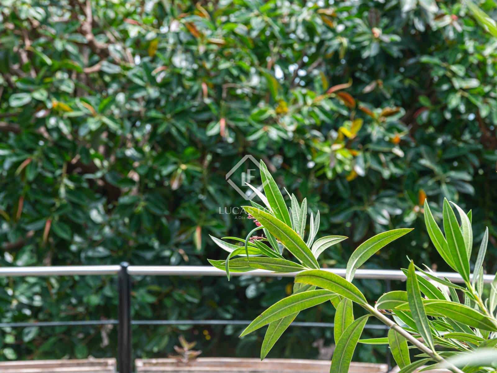 5 soveværelse Lejlighed til salg i Palma de Mallorca med swimmingpool - € 2.475.000 (Ref: 8992998)