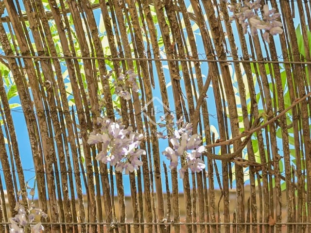 5 quarto Quinta/Casa Rural para venda em Santa Cristina d'Aro com garagem - 1 710 000 € (Ref: 9003979)