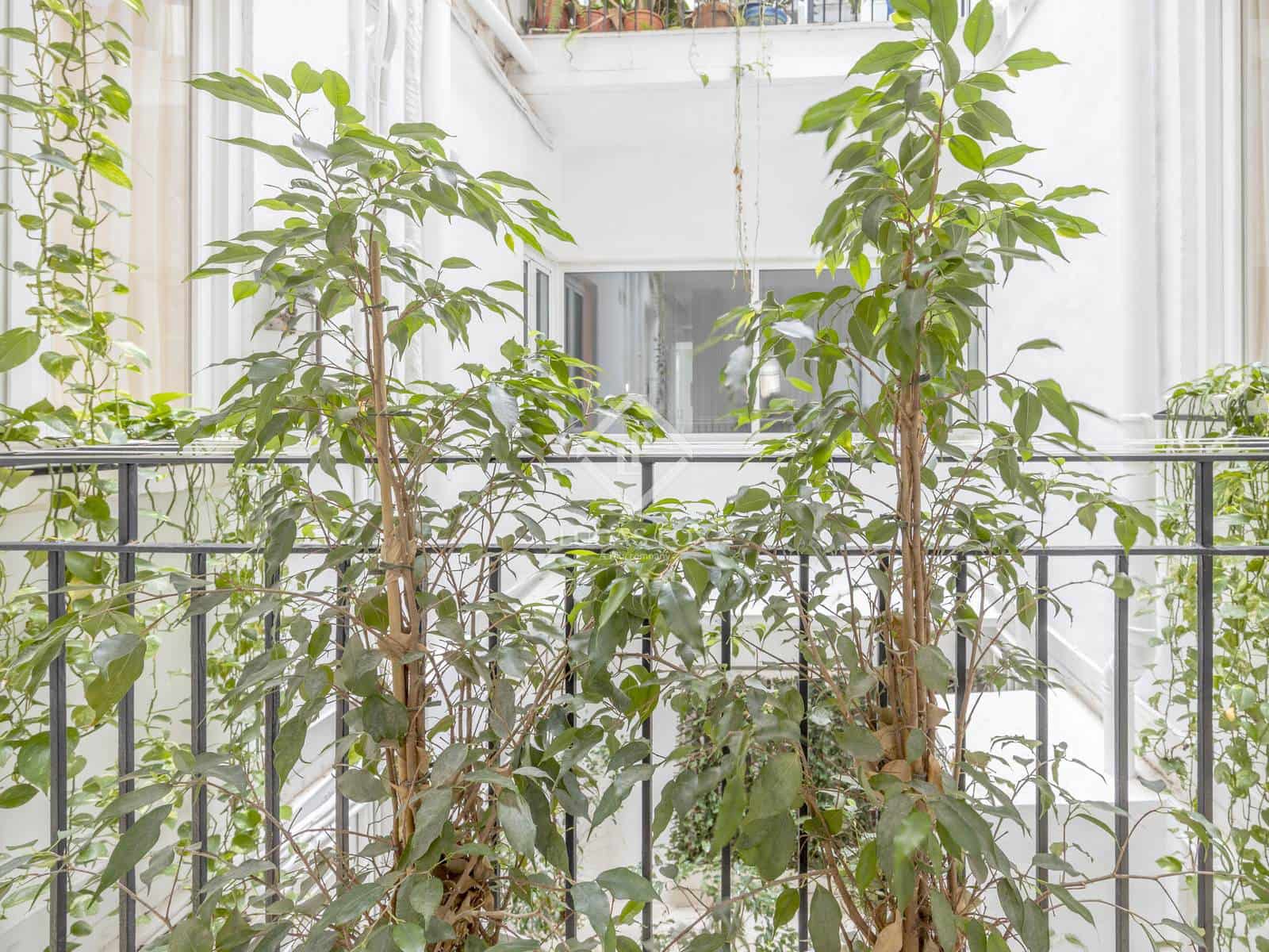 3 bedroom Apartment for rent in Valencia city - € 5,000 (Ref: 9004625)