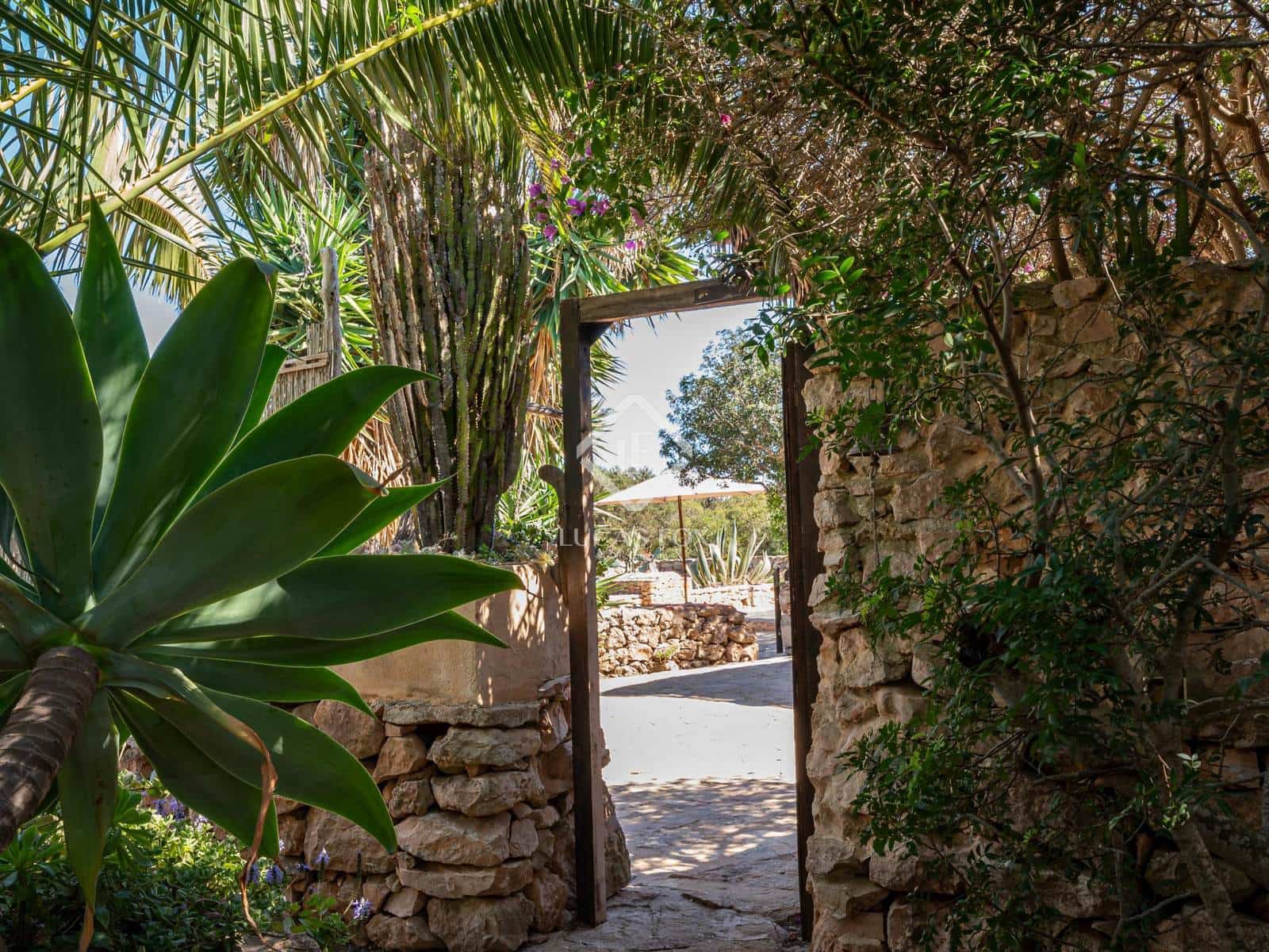 7 soveværelse Villa til salg i Cap De Barbaria - € 2.500.000 (Ref: 9008277)