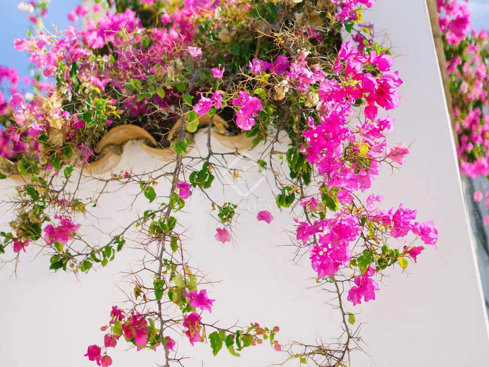 4 makuuhuone Huvila myytävänä paikassa Javea / Xabia mukana uima-altaan 
autotalli - 1 399 000 € (Ref: 9013316)