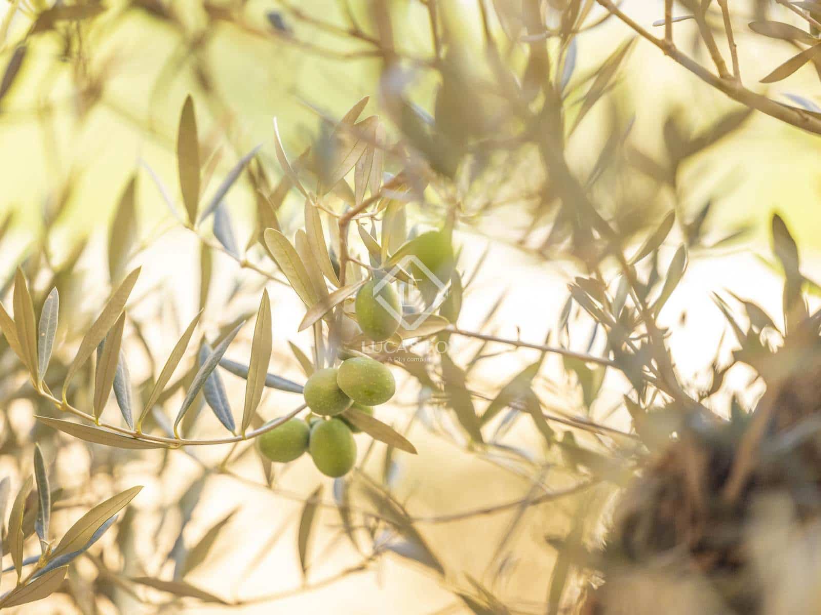 3 sypialnia Willa na sprzedaż w Javea / Xabia z basenem garażem - 1 375 000 € (Ref: 9019237)