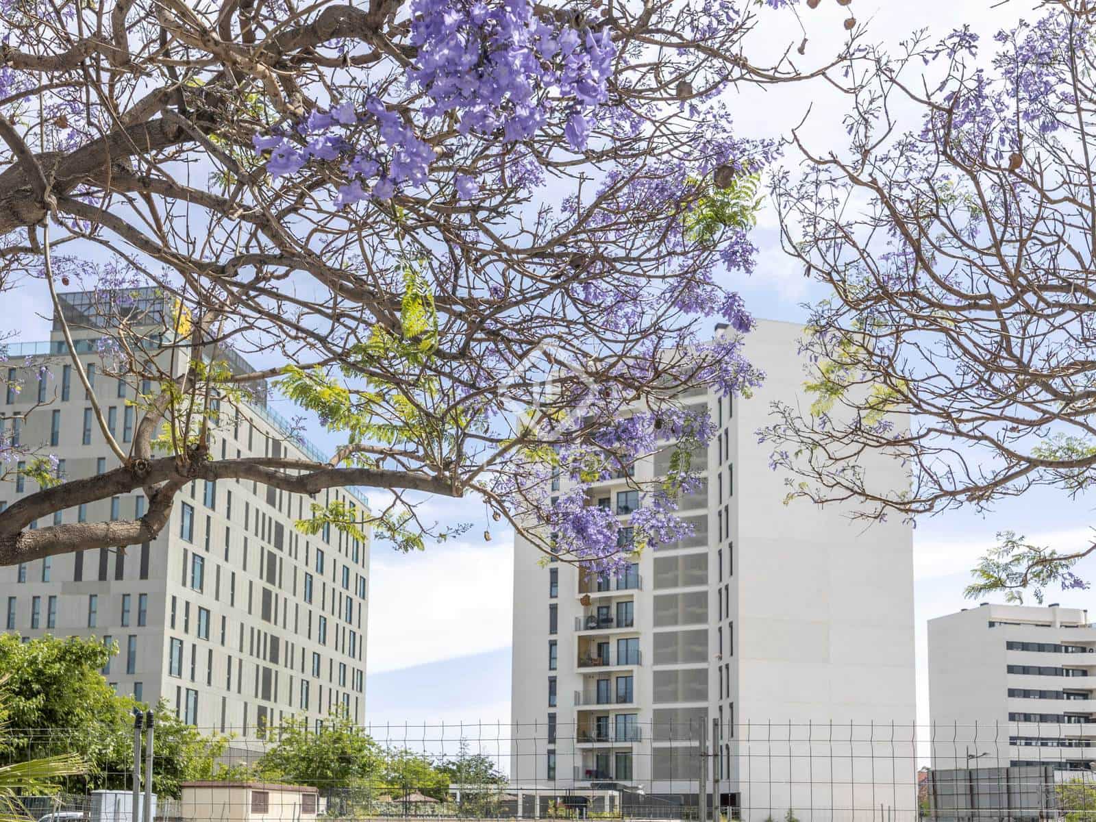 3 soveværelse Penthouse til salg i Valencia by med swimmingpool garage - € 795.000 (Ref: 9025415)