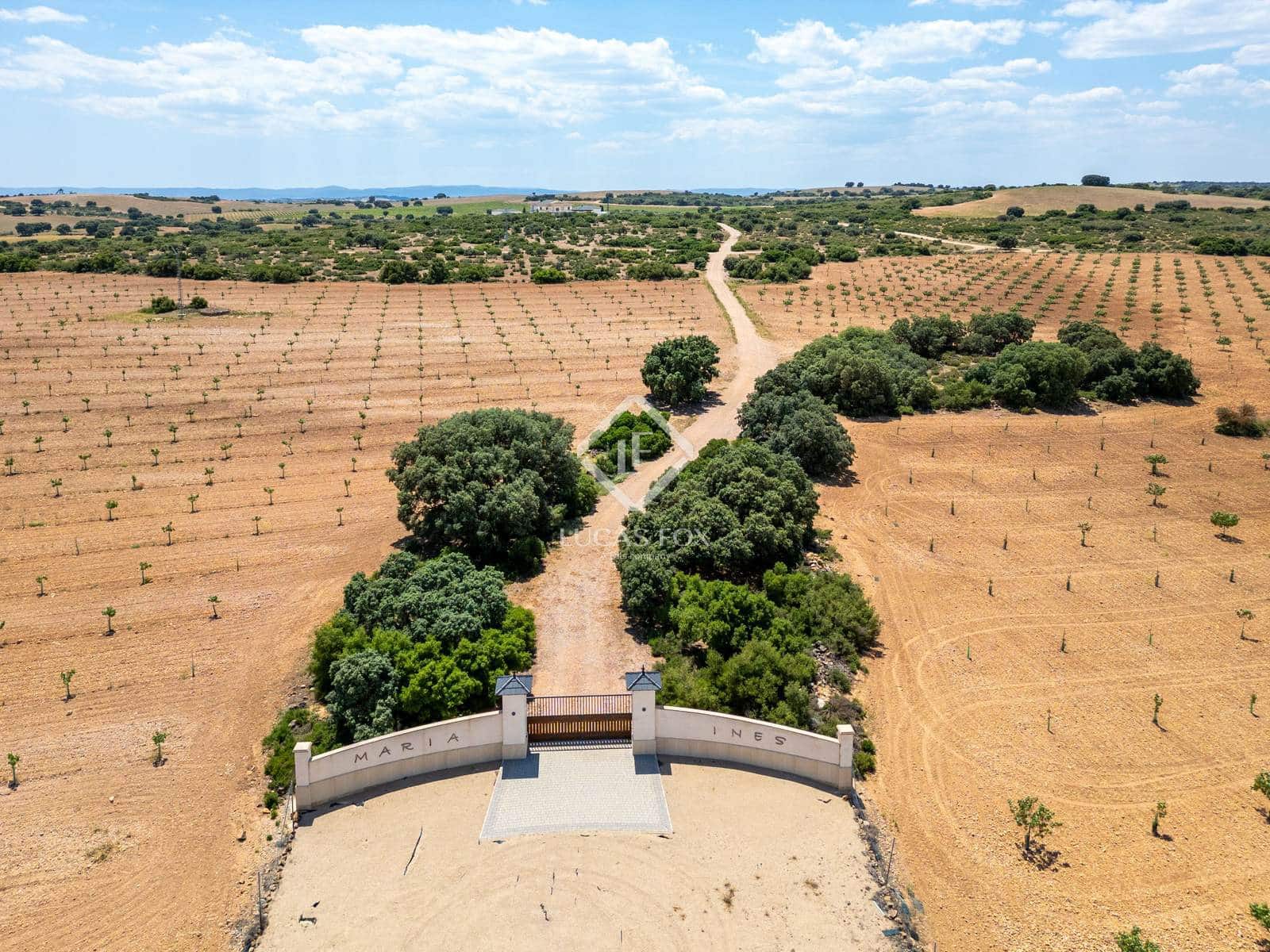 13 quarto Quinta/Casa Rural para venda em Lezuza - 4 200 000 € (Ref: 9025430)