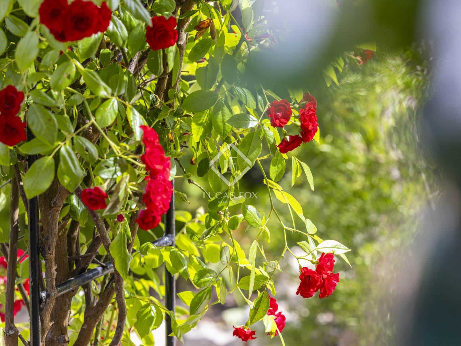 4 soveværelse Villa til salg i Javea / Xabia med swimmingpool garage - € 1.345.000 (Ref: 9031246)