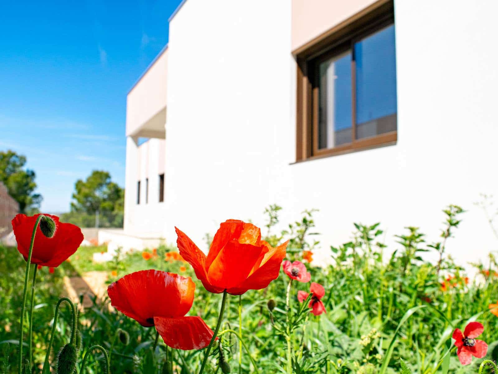 3 bedroom Villa for sale in Francas with pool garage - € 494,000 (Ref: 9033534)