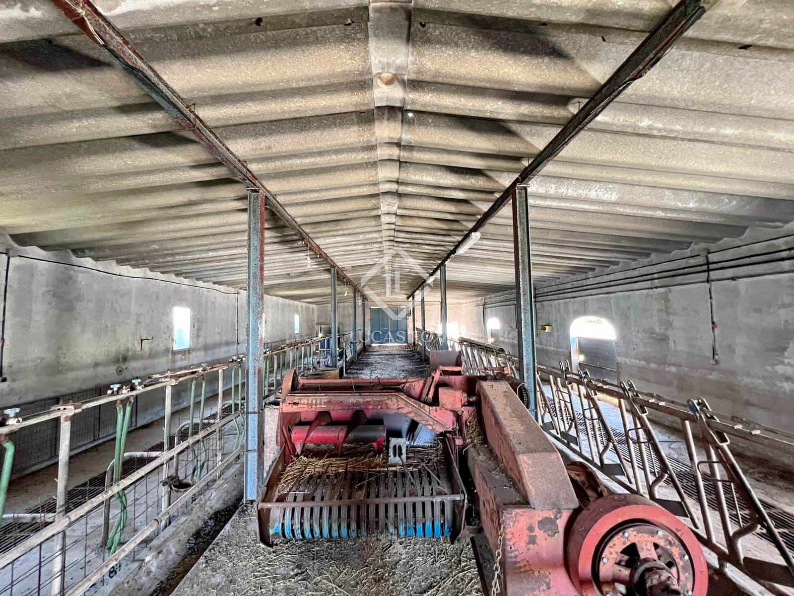 4 sypialnia Finka/Dom wiejski na sprzedaż w Mahon / Mao z garażem - 1 900 000 € (Ref: 9126193)