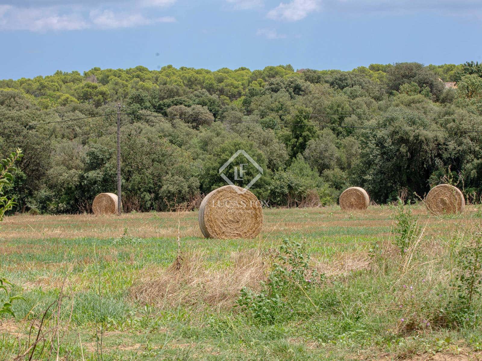 4 soveværelse Finca/Landehus til salg i Forallac - € 1.250.000 (Ref: 9126363)