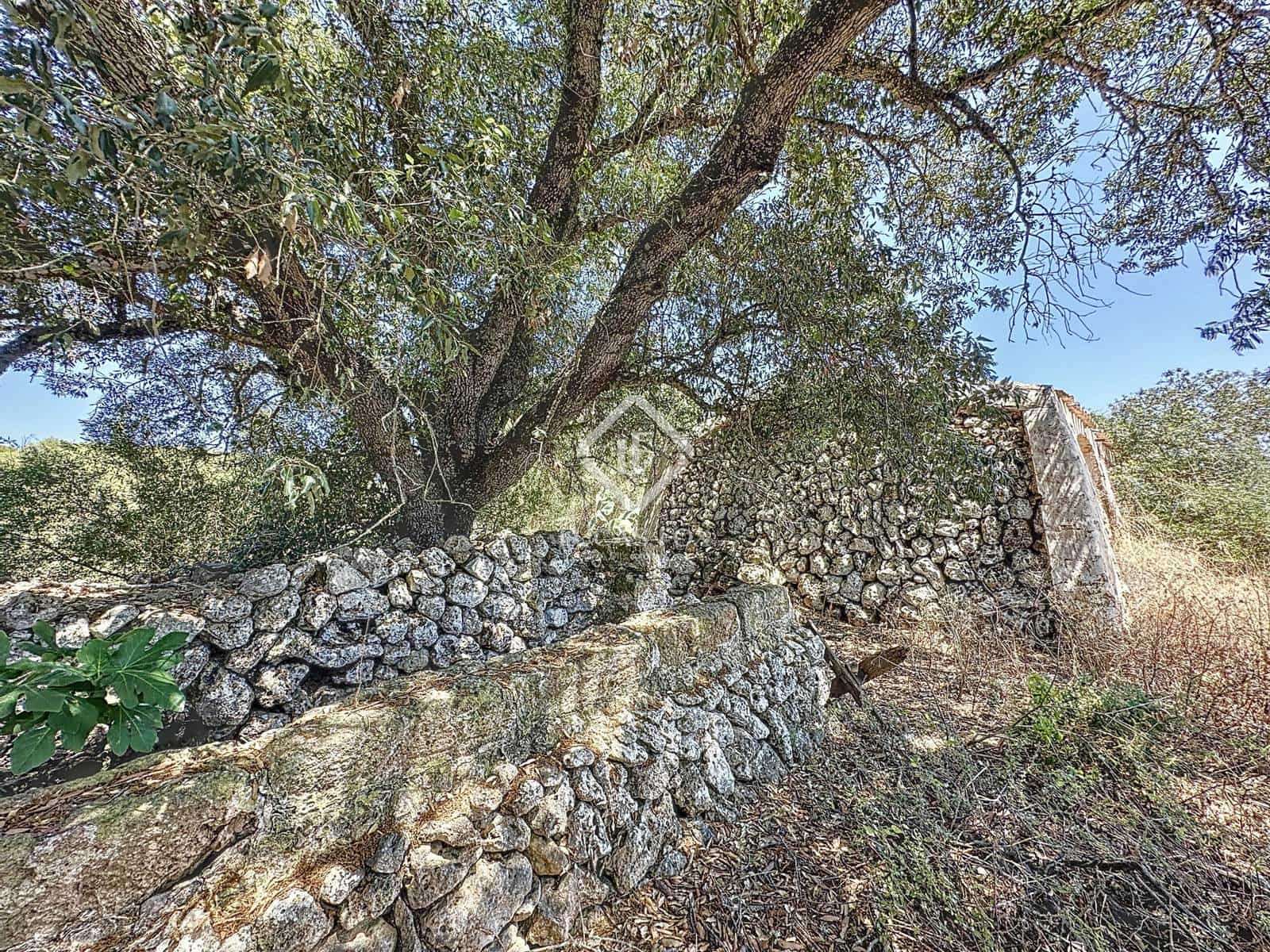 5 slaapkamer Finca/Landhuis te koop in Alayor / Alaior - € 3.600.000 (Ref: 9131152)