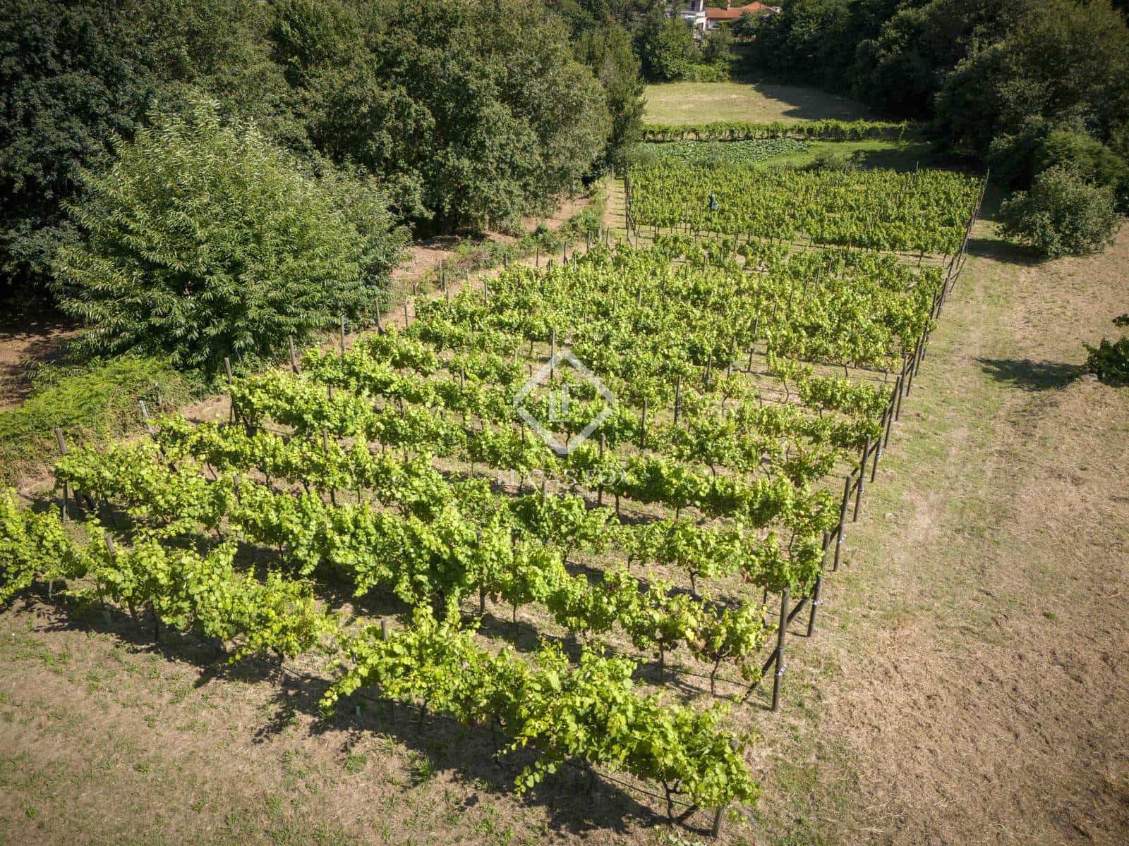 1 soverom Finca/Herregård til salgs i Tomino med garasje - € 410 000 (Ref: 9136162)