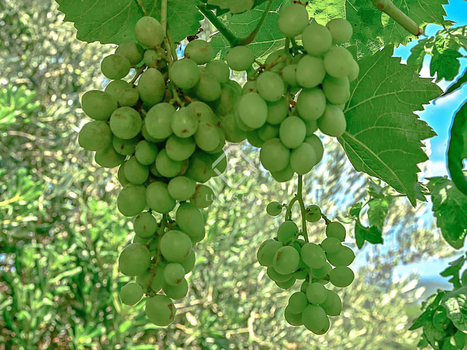 6 sovrum Villa till salu i Calonge i Sant Antoni med garage - 540 000 € (Ref: 9147949)