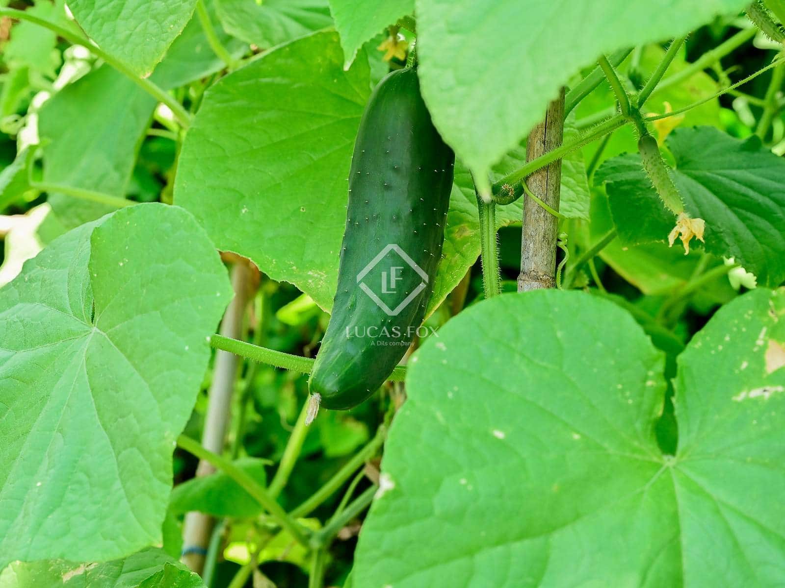 6 sovrum Villa till salu i Calonge i Sant Antoni med garage - 540 000 € (Ref: 9147949)