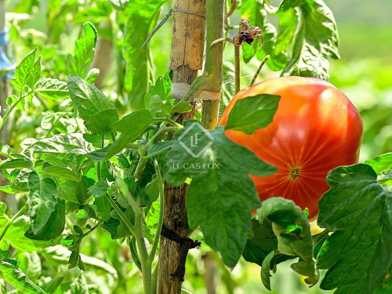 6 sovrum Villa till salu i Calonge i Sant Antoni med garage - 540 000 € (Ref: 9147949)