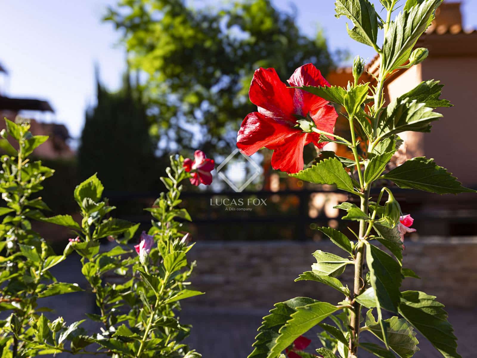 2 makuuhuone Huoneisto myytävänä paikassa Casares mukana uima-altaan 
autotalli - 480 000 € (Ref: 9189551)