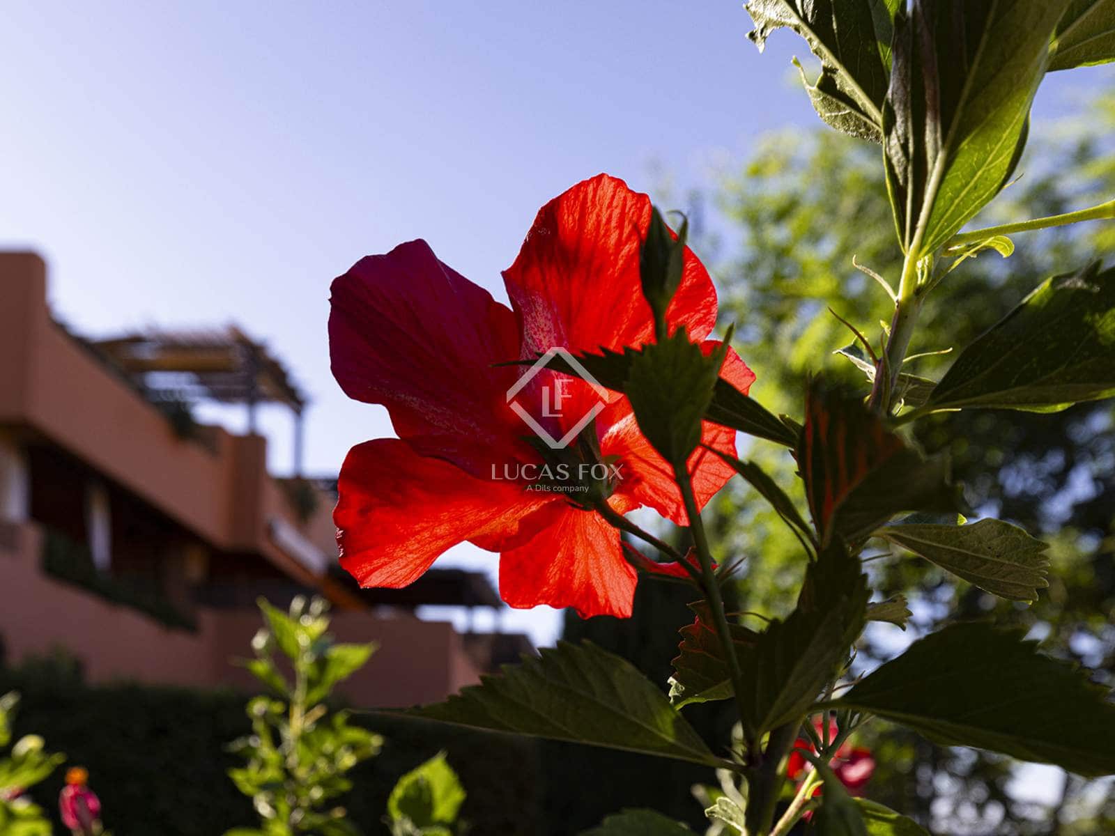 2 makuuhuone Huoneisto myytävänä paikassa Casares mukana uima-altaan 
autotalli - 480 000 € (Ref: 9189551)