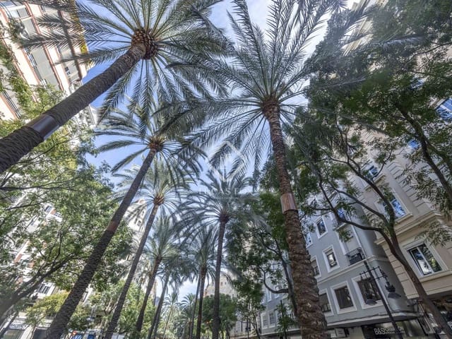 5 chambre Appartement à vendre à Valence ville - 650 000 € (Ref: 9258106)