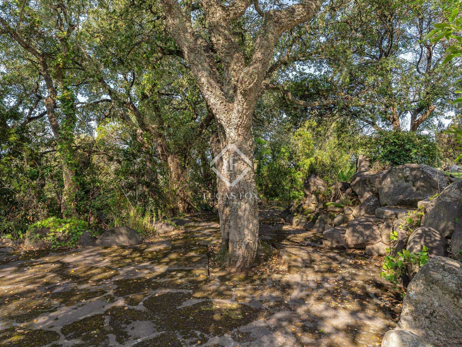 5 makuuhuone Huvila myytävänä paikassa Santa Cristina d'Aro mukana uima-altaan 
autotalli - 1 795 000 € (Ref: 9263302)